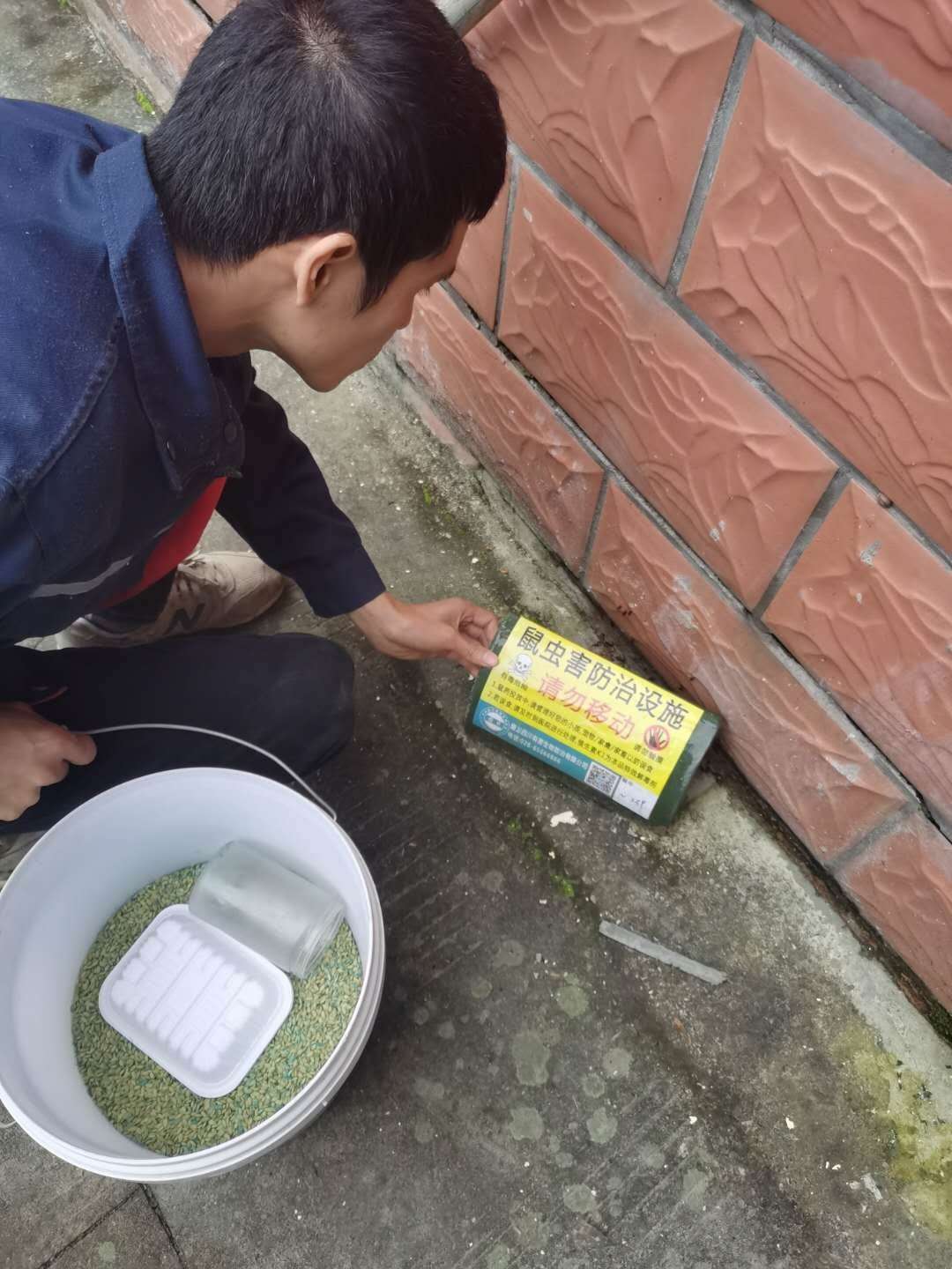 遂宁除四害
